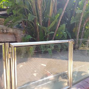 Aldabra giant tortoise exhibit -MundoMar Benidorm (2021)