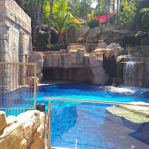 California sea lion first exhibit -MundoMar Benidorm (2021)