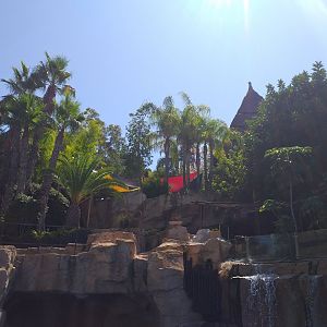 California sea lion first exhibit -MundoMar Benidorm (2021)