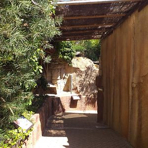 Trail to the armadillo exhibit and underwater viewing areas -MundoMar Benidorm (2021)