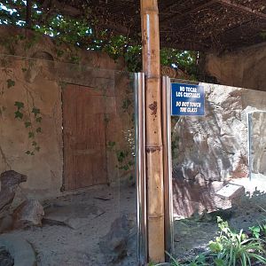 Six-banded armadillo exhibit -MundoMar Benidorm (2021)