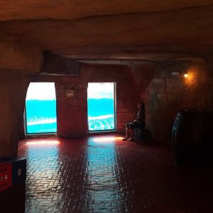Underwater viewing area -MundoMar Benidorm (2021)