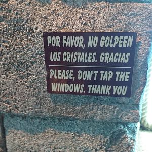 Please don't tap the window -MundoMar Benidorm (2021)