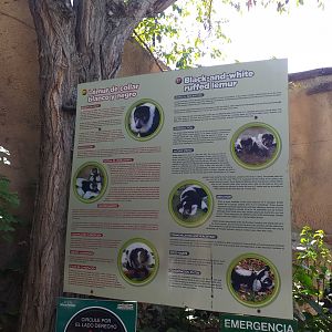 Black and white ruffed lemur sign -MundoMar Benidorm (2021)