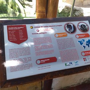 Black and white ruffed lemur sign -MundoMar Benidorm (2021)