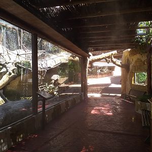 Black and white ruffed lemur exhibit view -MundoMar Benidorm (2021)