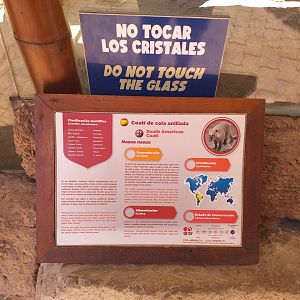 South American coati sign -MundoMar Benidorm (2021)