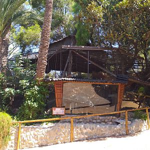 Ring-tailed lemur and Black and white ruffed lemur exhibit -MundoMar Benidorm (2021)