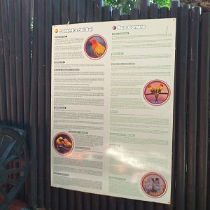 Sun conure sign -MundoMar Benidorm (2021)