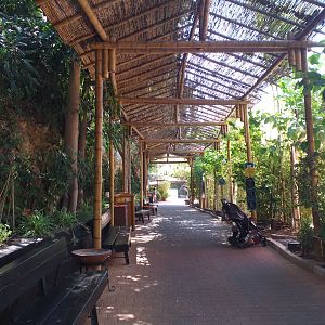 View -MundoMar Benidorm (2021)