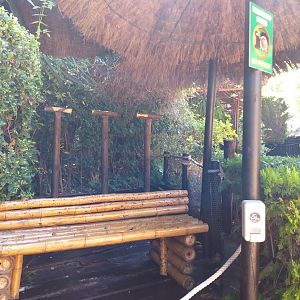 Macaw photography spot -MundoMar Benidorm (2021)