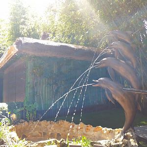 Dolphin fountain -MundoMar Benidorm (2021)