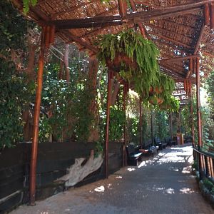 View -MundoMar Benidorm (2021)