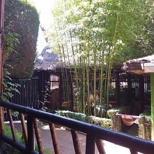 Restaurant view -MundoMar Benidorm (2021)