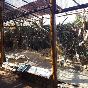 Egyptian plover, Eurasian oystercatcher, Pied avocet and White-cheeked turaco exhibit -MundoMar Benidorm (2021)