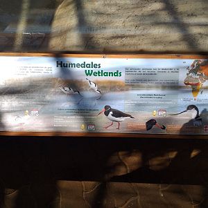 Wetlands sign -MundoMar Benidorm (2021)