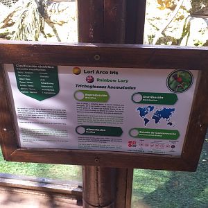 Rainbow lorikeet sign -MundoMar Benidorm (2021)