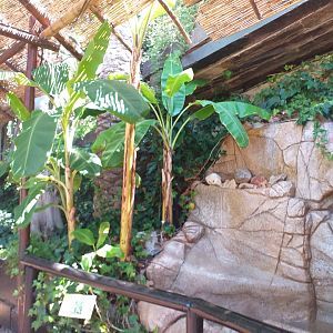 Fountain -MundoMar Benidorm (2021)