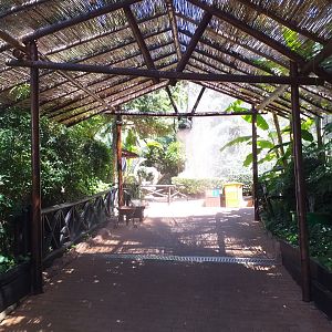 Path to the large aviary -MundoMar Benidorm (2021)