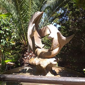 Dolphin fountain -MundoMar Benidorm (2021)