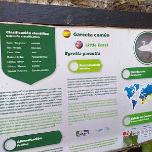 Little egret sign -MundoMar Benidorm (2021)