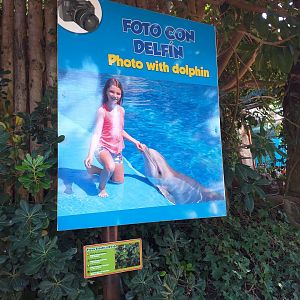 Dolphin experience advertisement -MundoMar Benidorm (2021)