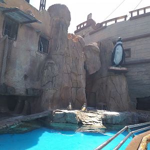 Humboldt penguin exhibit -MundoMar Benidorm (2021)
