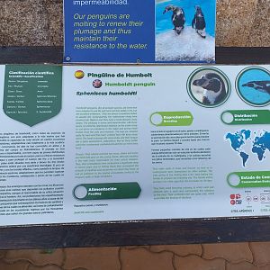 Humboldt penguin sign -MundoMar Benidorm (2021)