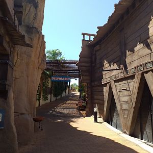 Themeing around the dolphinarium -MundoMar Benidorm (2021)