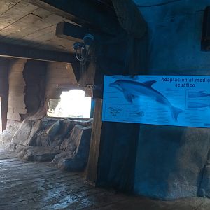 Atlantic bottlenose dolphin sign -MundoMar Benidorm (2021)