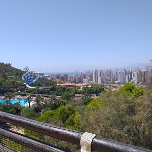 View from the dolphinarium -MundoMar Benidorm (2021)