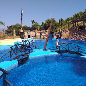 Atlantic bottlenose dolphin exhibit -MundoMar Benidorm (2021)