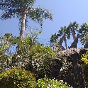 Vegetation -MundoMar Benidorm (2021)