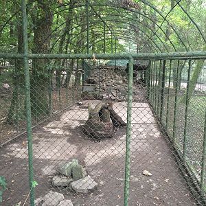 Zoo Târgu-Mures 27.08.2021.