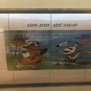 Turkish postal stamps