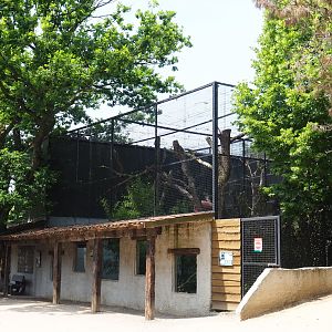 Fossa exhibits, 2021-06-15