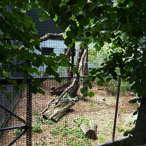 Second fossa exhibit, 2021-06-15