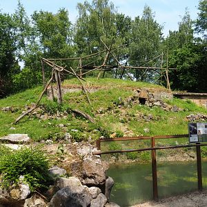 Yellow-cheeked gibbon and Asian small-clawed otter island, 2021-06-15