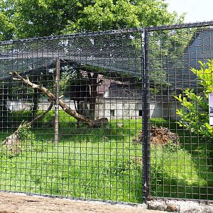 Largest of the African leopard exhibits, 2021-06-15