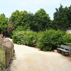 Walkway and viewing area African lions and Black and white ruffed lemurs, 2021-06-15