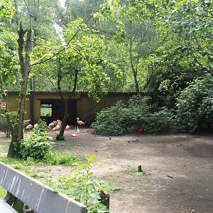 View in the large walk-through aviary, 2021-06-15