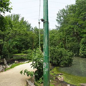 View in the large walk-through aviary, 2021-06-15