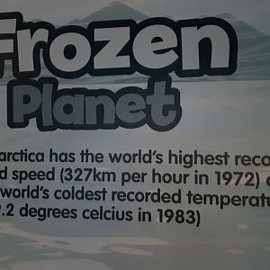 Frozen planet