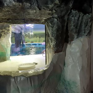 Penguin Exhibit