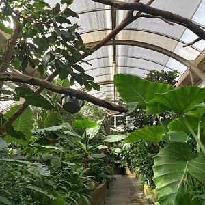 View in Victoria Hall