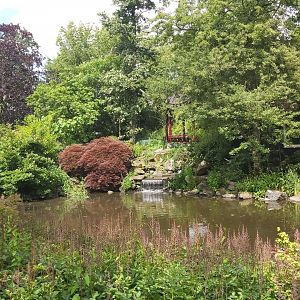 View in Chinese Garden