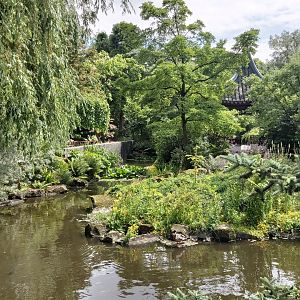 View in Chinese Garden
