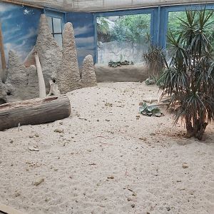 Part of the meerkat indoor exhibit