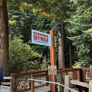 Redwood Sky Walk