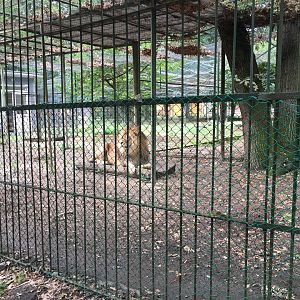 Zoo Târgu-Mures 27.08.2021.